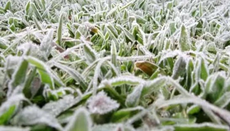 Defesa Civil se prepara para frio intenso no Paraná