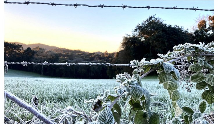 Mais 13 municípios batem recorde de temperaturas baixas neste ano no Paraná