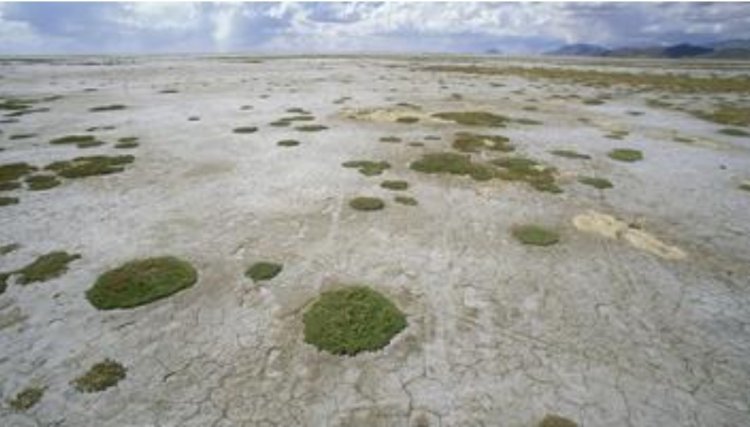 Lago seca na Bolívia e cientistas temem que nunca mais volte a encher