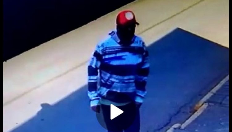 Câmera flagra homem furtando loja  em Cafelândia 