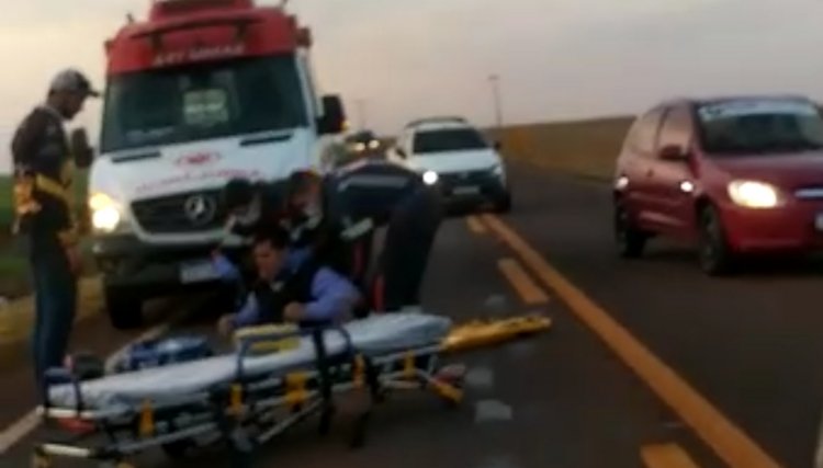 Condutor de motocicleta cai após atropelar cachorro na PR 180, veja o vídeo 