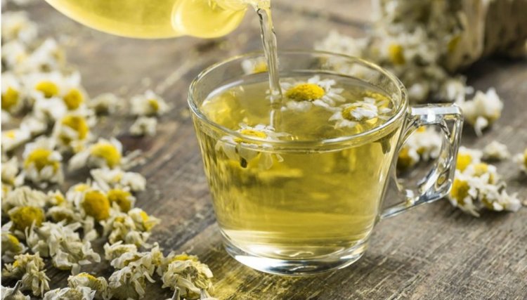Conheça os benefícios do chá de camomila 