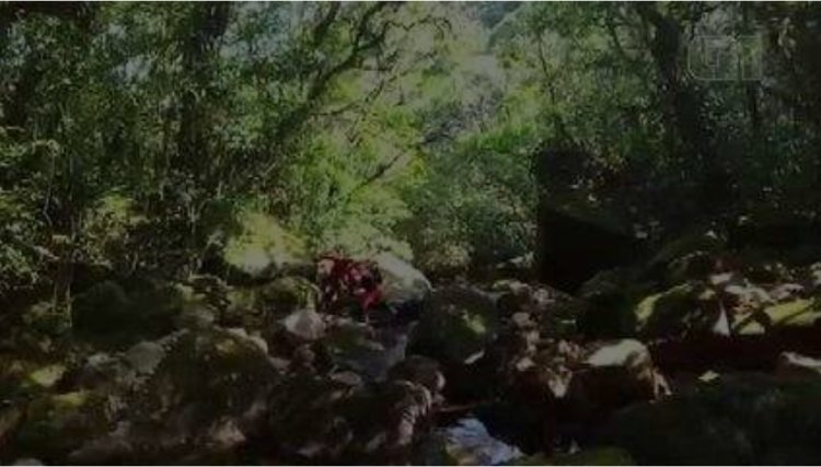Homem que ficou desaparecido por 6 dias no Pico Paraná sobreviveu racionando barras de cereais e frutas