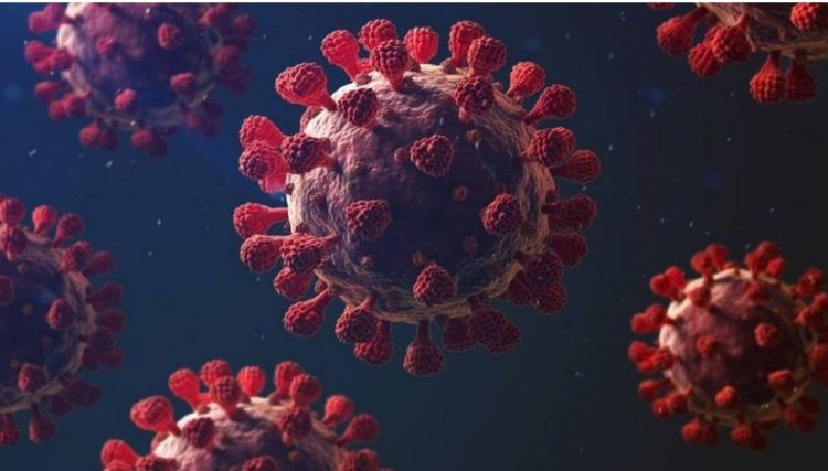 Covid-19: 92,30% das UTIs em Cascavel estão ocupadas; 131 novos casos divulgados