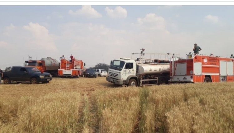 Equipes trabalham mais de 7 horas para controlar incêndio em Ouro Verde