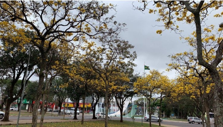 Começa hoje a primavera e com ela variações bruscas de temperatura e poucas chuvas
