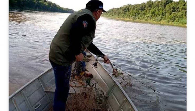 Pesca de espécies nativas está proibida até fevereiro no Paraná 