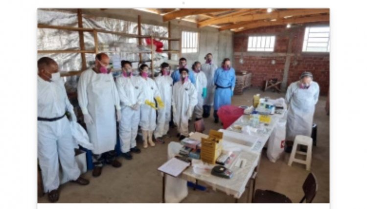 Casos de hantavirose acionam equipes da vigilância no PR 