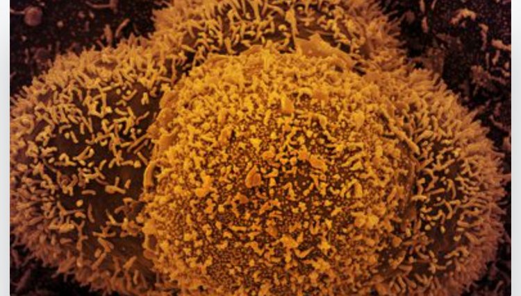 País tem 24.382 novos casos de covid-19 e 44 mortes em 24 horas