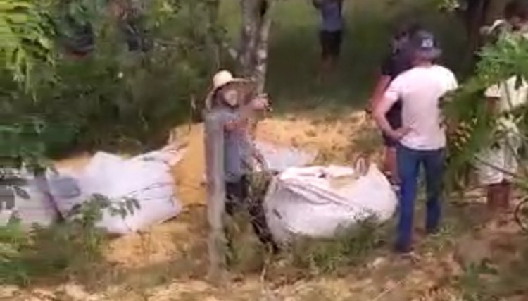 Homem é baleado durante tentativa de saque a carga de milho, veja o vídeo 