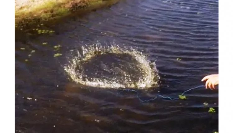 Previsão de altas temperaturas colocam em alerta produtores de peixes