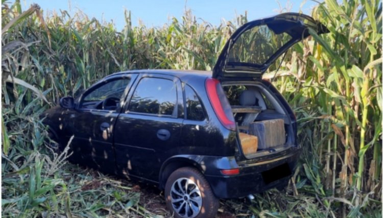 Batalhão Rodoviário apreende mais de 200 quilos de drogas no Oeste do estado