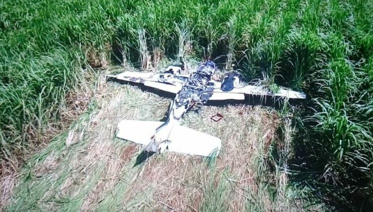 Avião cai em canavial no interior na madrugada de segunda-feira 