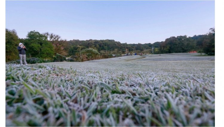 Com temperatura de até -3,9°C, Simepar registra madrugada mais fria do ano em 44 cidades no PR