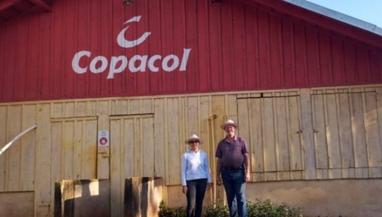 José Heinzen se destaca na suinocultura da Copacol 