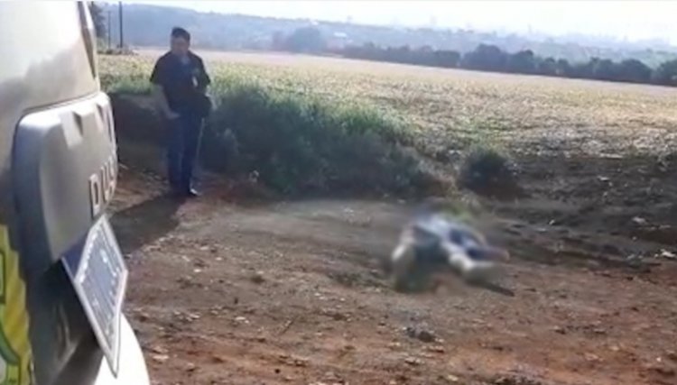 Homem encontrado morto em Cascavel é identificado