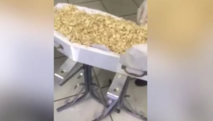 Fam&iacute;lia abre caix&atilde;o e encontra serragem no lugar do corpo do beb&ecirc; no PR