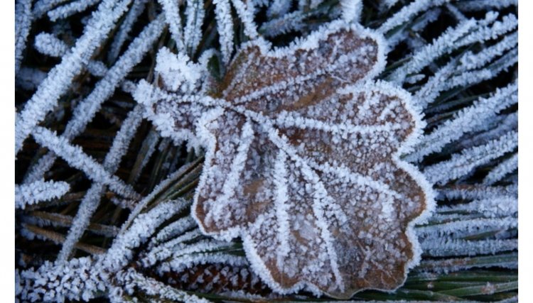 Previs&atilde;o de geada e temporais para o Paran&aacute; nesta semana&nbsp;