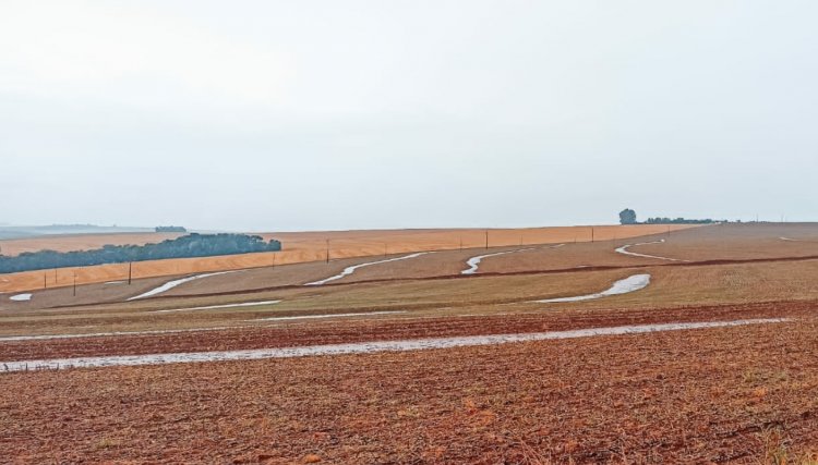 Grande volume de chuva preocupa produtores da soja na região Oeste 