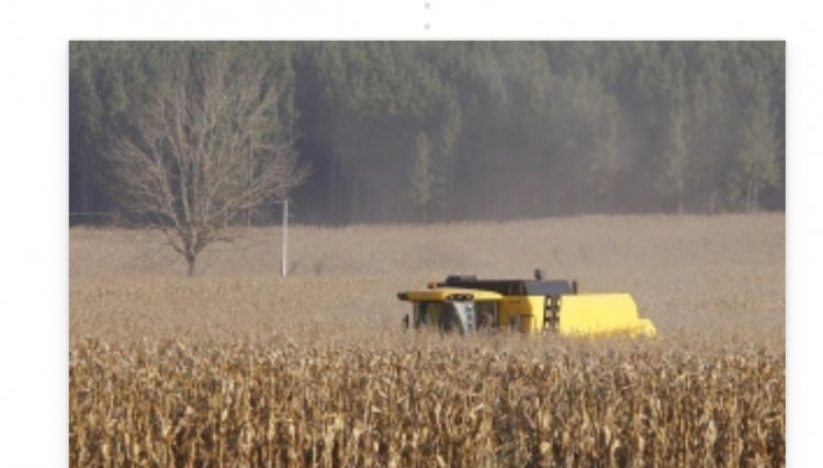Apesar do clima, agropecuária do PR manteve alto rendimento em 2022