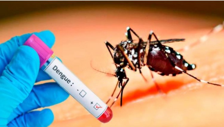Cafelândia confirma 44 casos de Dengue e entra em alerta de epidemia