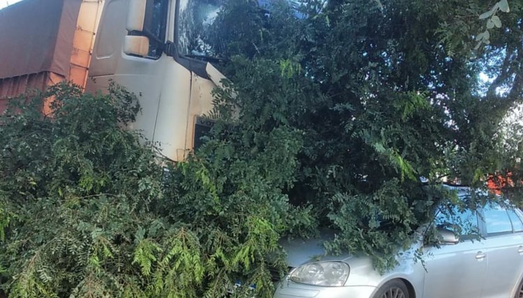 Caminhão bate em árvore e carro estacionado em Cafelândia, veja o vídeo 