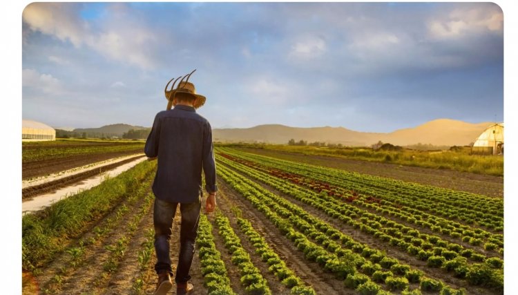 Taxar o agro resulta em fome, inflação e miséria