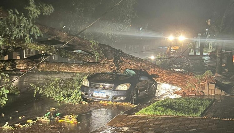 Árvore cai em carro durante temporal em Cafelândia 