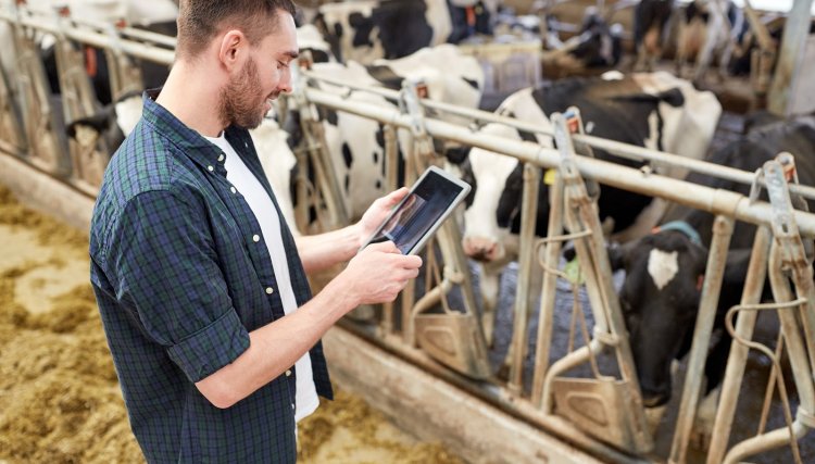 Nova geração de produtores rurais investe na automação das propriedades