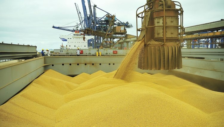 Aprosoja negocia exportação de 5 mi de toneladas de milho para o Irã em troca de fertilizantes