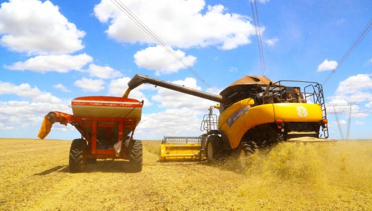Custos de produção para a safra 2022 será um dos maiores da história 