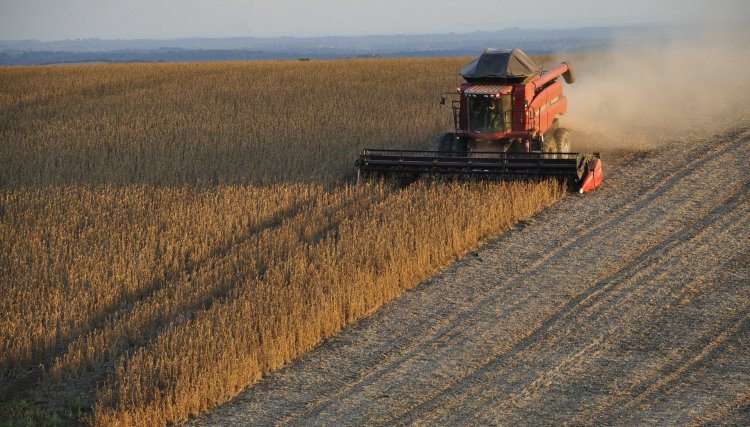 Conheça quatro plataformas digitais voltadas para potencializar vendas no agronegócio