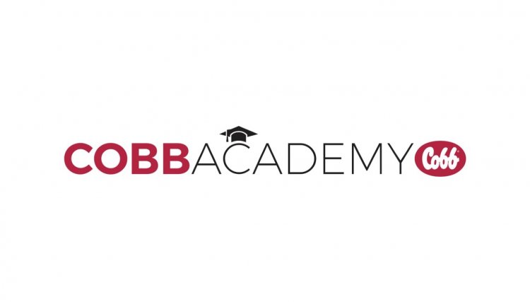 Cobb Academy é lançada com curso em avicultura