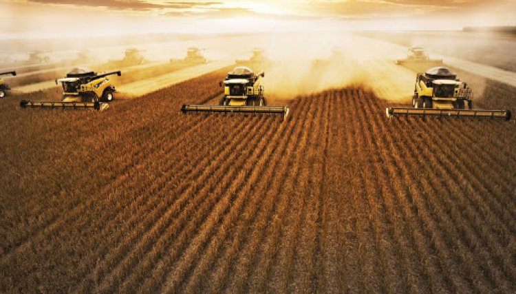 Brasil passará os Estados Unidos na produção de grãos 