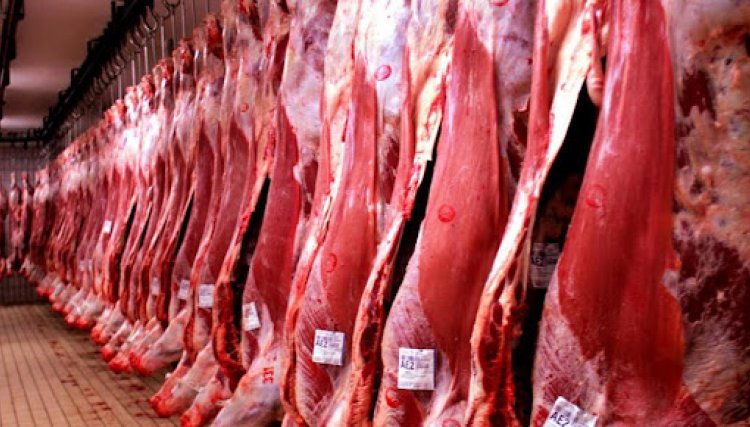 Carne brasileira sofre ataque nos Estados Unidos e pressão para suspensão das importações
