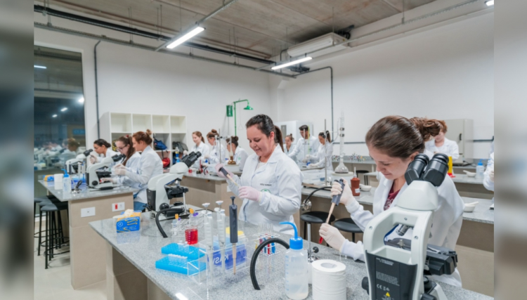 Laboratórios modernos e matrizes curriculares atualizadas fortalecem excelência na Univel