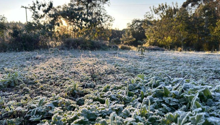 15 cidades com temperatura abaixo de zero e -5,3°C: 13 de agosto foi o dia mais frio do ano