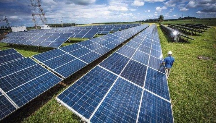 Produtores rurais do PR investem em energia solar para economizar